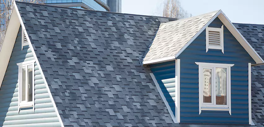 Shingle Roof Maintenance in Lake Zurich