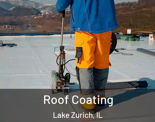  Roof Coating Lake Zurich, IL